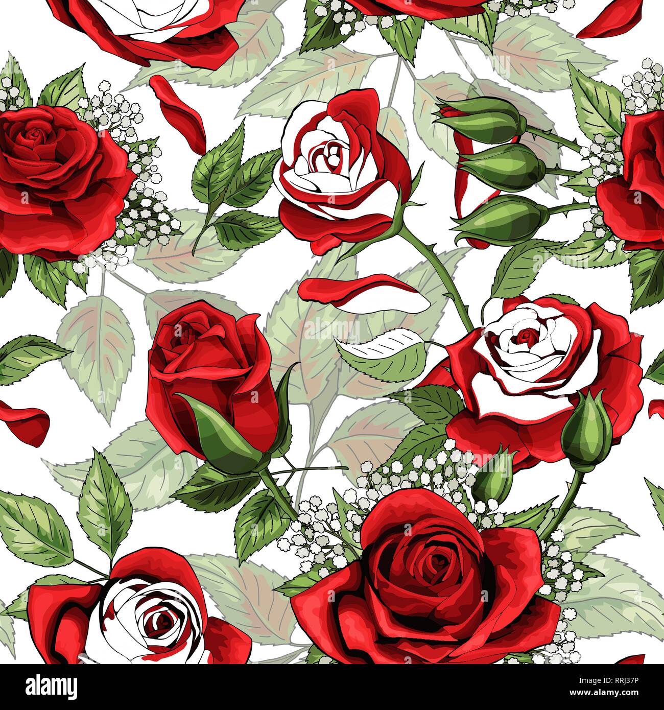 Beau contour blanc et roses rouges colered de fond transparent Illustration de Vecteur