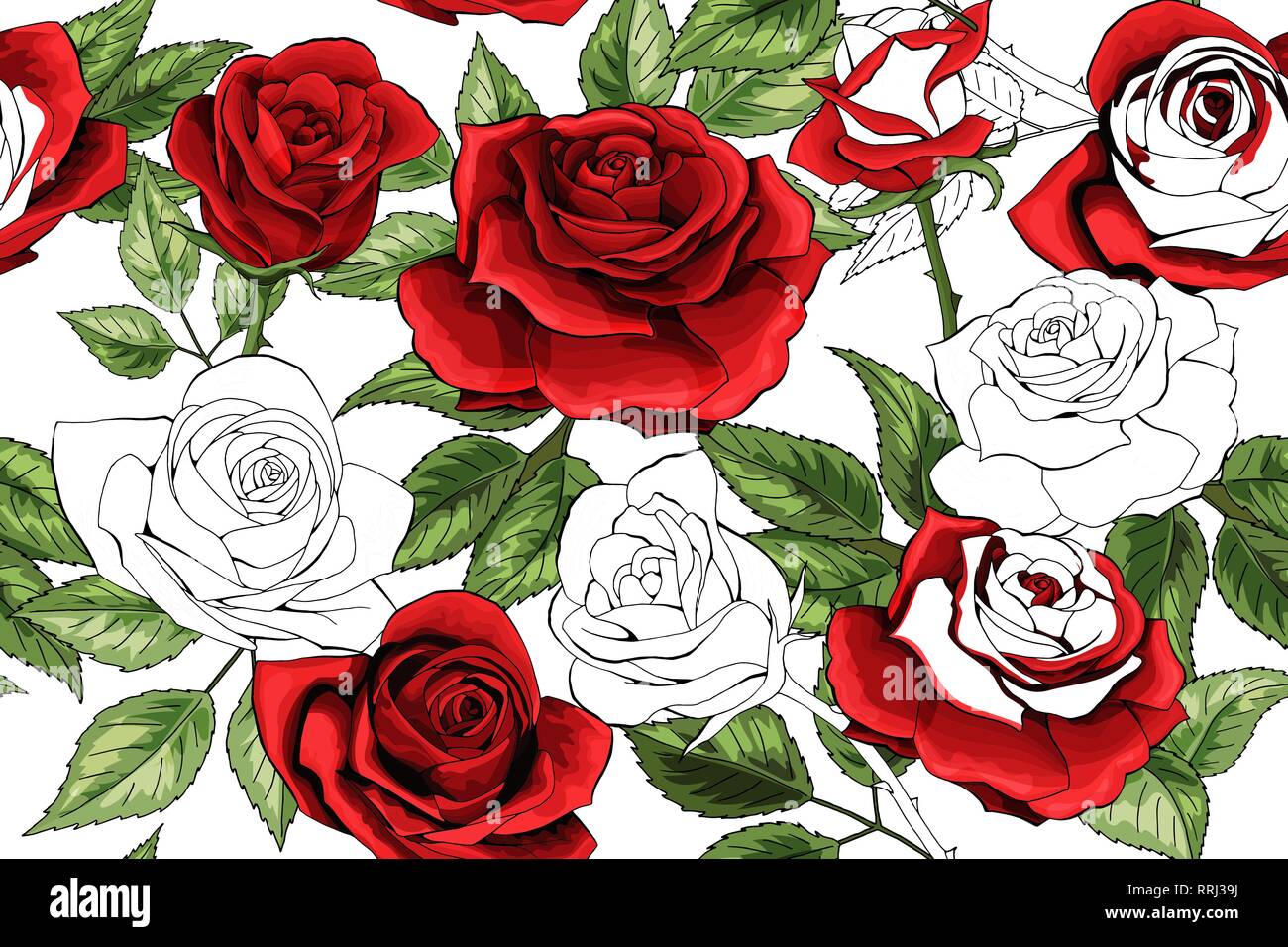 Beau contour blanc et roses rouges colered de fond transparent Illustration de Vecteur
