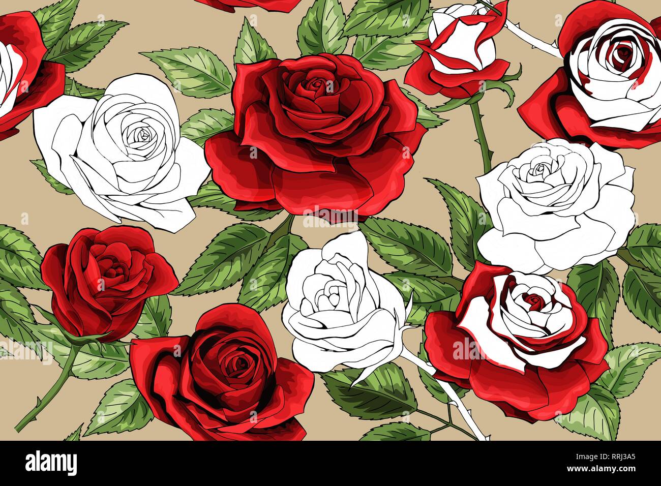 Beau contour blanc et roses rouges colered de fond transparent Illustration de Vecteur