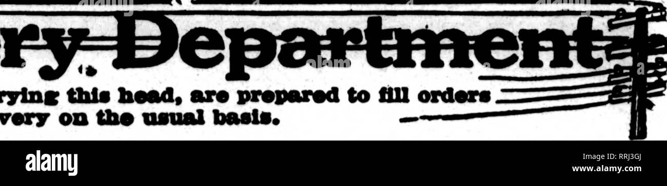 . Les fleuristes [microforme] examen. La floriculture. &Lt ;" flortsta oaxd n* dont* apparaissent sur l'épreuve oarryinc ce chef, sont prêts à remplir les commandes """ à partir de autres fleuristes pour dellvenr locaux sur la base vanal.. Le Cleveland KNOBLE BROS. CO., les rameurs et les produits de pépinière membres f. t. d. 1836 W. 25e St. bien équipé pour traiter vos commandes TOLEDO CLUB COMMERCIALE{ TOLEnO ? MEMBRES COMMERÇANTS AU DÉTAIL / DEUVERY TELEGRAPH pour fleuristes Toledo, Ohio METZ &AMP ; BATEMAN, 221 Si supérieure. Ohio le bâtiment F. D. T. I31S CWRRY ST. TOLEDO et environs VENTE EN GROS ET AU DÉTAIL OTTO P. KRUEGER est 427 B Banque D'Images