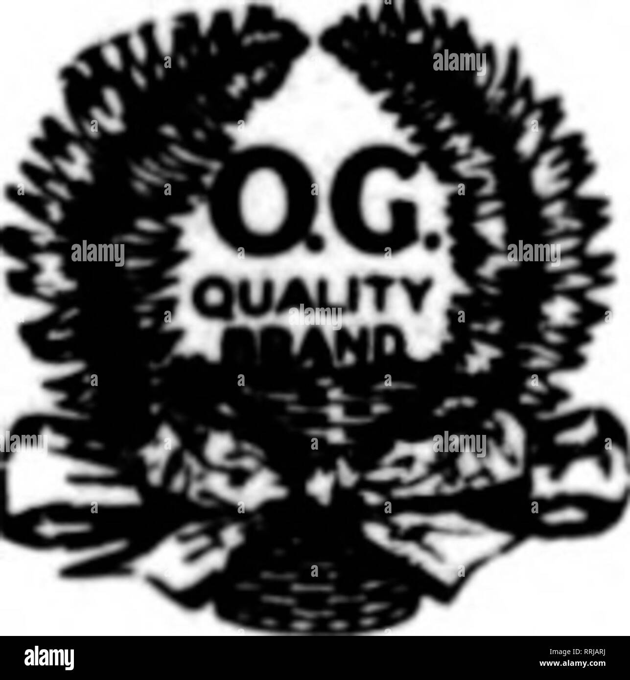 . Les fleuristes [microforme] examen. La floriculture. N° 30. Clématites en soie. Flower 2 pouces de diamètre. Les couleurs, rouge, violet, yello"v, rose- prix, 4,50 $ par gross. N° 184. THISTLC. Groupe de quatre chardons naturels avec du tissu foliaire. Le chardon, 2 pouces de long !,•" pouces de diamètre. Couleurs, rose, bleu ; ou hurle)^. P/la glace, 3,50 $ douzaine de rp de grappes. No 54. FORGET-me-not. Noël lumineux en rouge seulement. Les grappes de fleurs à U le uunch. Le prix, $4.50 par doz. grappes. N° 148. Poinsettia miniature. Petit Poinsettia en velours. ^ 2 pouces de diamètre, centre jaune. .Inst la chose pour des couronnes ou un panier de travail. P Banque D'Images