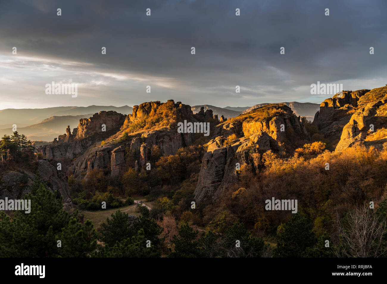 Tôt le matin, la lumière sur les formations rocheuses de Belogradchik, Bulgarie, Europe Banque D'Images
