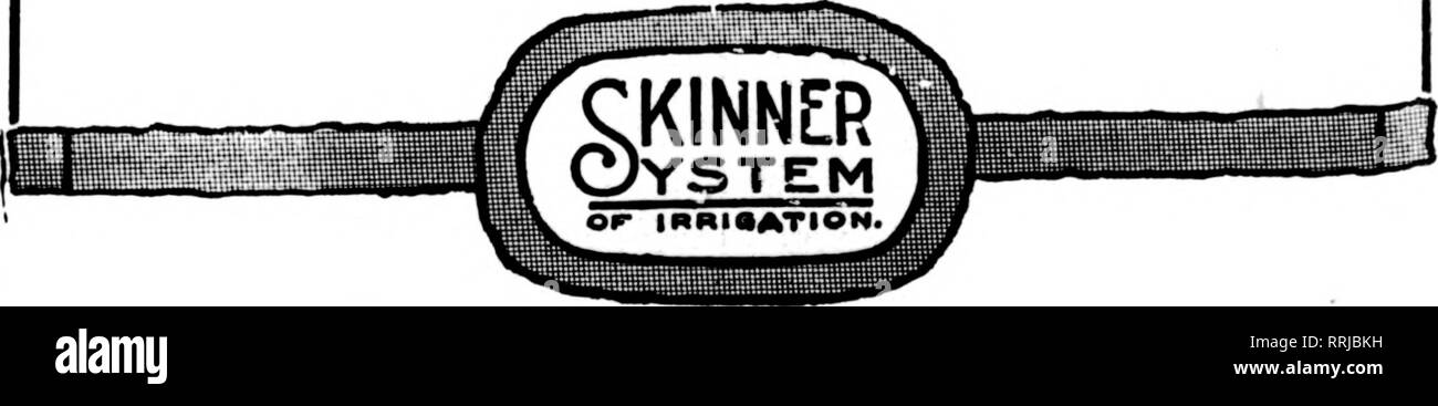 . Les fleuristes [microforme] examen. La floriculture. ip"((iiw"l|i,^^j1, sg ; ?&gt ;•^'w ij ; rj,.vi -iri j'^ » ? ?,'&gt ; .' ?' "^.'i Jip, -" •)' ! "".."T""" de l'IHM., ;"J1|" II ^^U !"l".l,p Ji, IIIKI HM"^j™"l llllllllj ! ? 130 l'examen fleuristes^ 8 avril 1920 BUFFALO, N. Y, le marché. Le marché de la semaine dernière a été un record rush de Pâques. Favorisée ?avec temps idéal pour cette période de l'année, la semaine s'est ouverte lundi, 29 mars, avec un rush et fermé par un fugueur. Bien que plus d'actions pourrait être avait au serres, en particulier dans la chaîne de production, dimanche midi trouvés tous les commerces vendu ou Banque D'Images