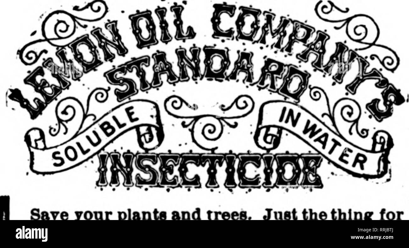 . Les fleuristes [microforme] examen. La floriculture. HztropolitanMaterialCb Flustalns 1299-1S2S ; Ave., Brookljm, N. T.. Enregistrer yonr planta et arbres. Juste le thtni irreenhouse ; et l'utilisation à l'extérieur. Monts-mealy DestroyB WhlteScale buste, Brown et, Thrlps, araignée rouge, 6manque et Oreen Fly, mites, fourmis, etc., dommage wlthont aux plantes et sans odeur. Utilisé selon : de l'orientation, notre Insecticide standard empêchera les ravages sur vos cultures par les insectes. Non toxique et sans danger pour l'utilisateur et de l'usine. Leadlnir les semenciers et les fleuristes ont utilisé avec des résultats merveilleux. Détruit les poux dans les poulaillers, les puces sur Kneissel Banque D'Images