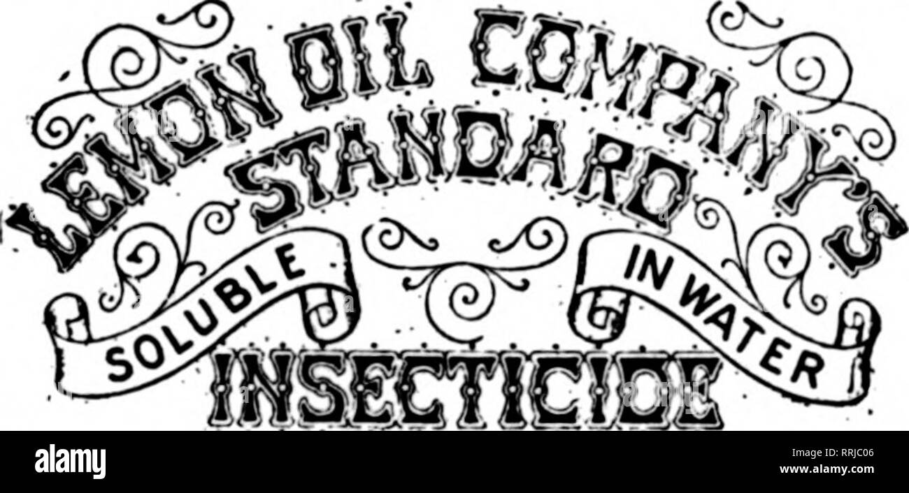 . Les fleuristes [microforme] examen. La floriculture. Enregistrer yonr Plantes et arbres. Juste la chose pour irreenhoase et l'utilisation à l'extérieur. Monts-mealy Bufir détruit, WhiteSoale Thrlps, et Brown. Araignée rouge. La Mouche noire et verte. Les Mites, fourmis, PTC., sans préjudice pour les plantes et sans odeur. Utilisé selon les directives, notre Insecticide standard empêche ravagres sur vos cultures par les insectes. Non toxique et sans danger pour l'utilisateur et de l'usine. Leadlnflr les semenciers et les fleuristes ont utilisé avec des résultats merveilleux. Détruit les poux dans les poulaillers, les puces sur les animaux domestiques et tous les DoKS. Kxcellent comme un lavage pour ne^s et d'autres ani Banque D'Images