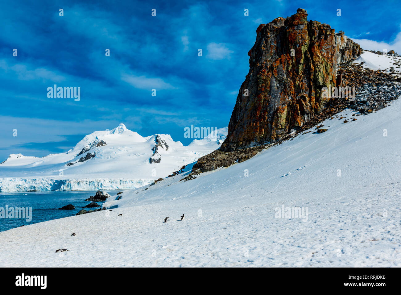 Vue panoramique sur la glace des glaciers et des icebergs dans l'Antarctique, régions polaires Banque D'Images