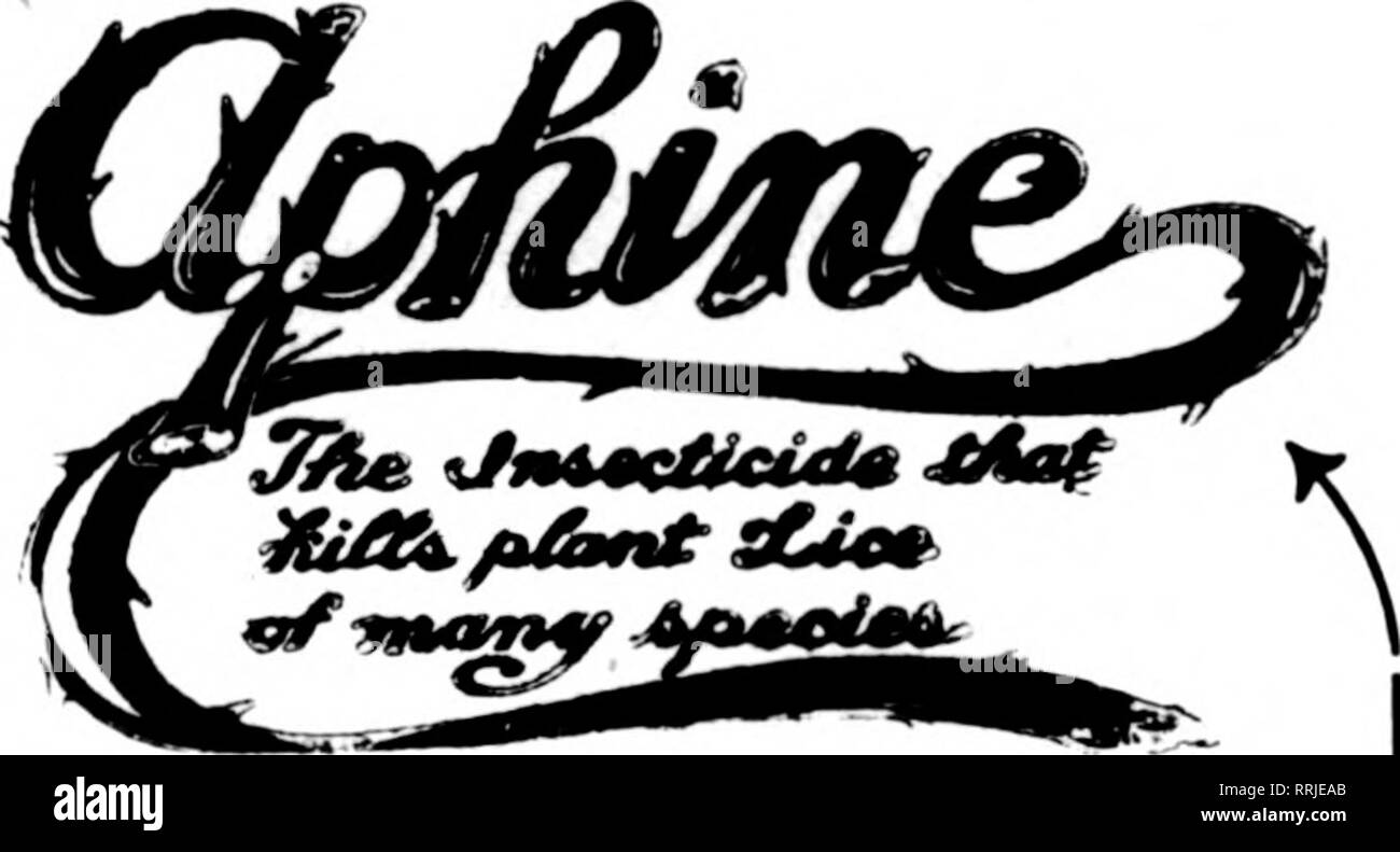 . Les fleuristes [microforme] examen. La floriculture. Enregistrer vos plantes et arbres. Juste le tlilngr frecnlionse (pour usage intérieur et extérieur. Monts-mealy Brownand détruit Bur, blanc Échelle. Les thrips. Araignée rouge. La Mouche noire et verte. Les Mites, fourmis, etc.. sans dommage aux plantes et sans odeur. Accord utilisé- Subst à direction, notre Insecticide standard empêchera les ravages sur vos cultures par les insectes. Non toxique et sans danger pour l'utilisateur et de l'usine. Leadlntr les semenciers et les fleuristes ont utilisé avec des résultats merveilleux. Détruit le pou du poisson en poulaillers. Les puces sur les chiens tous les animaux domestiques de la SOD. Kxccllont comme un lavage pour se défait et d'autres un Banque D'Images