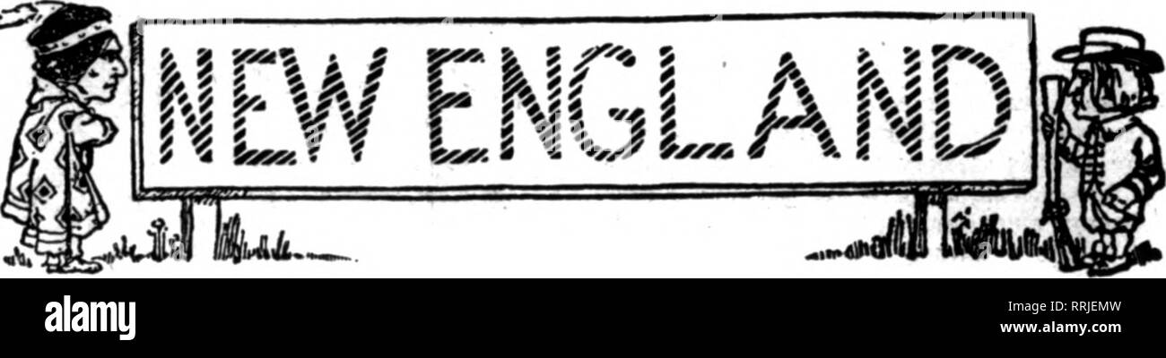 . Les fleuristes [microforme] examen. La floriculture. ^^ "iffy f-^^^^ ATS-^^^^^ rT TI :^^ 20 La revue NOVEMBEB pour fleuristes 2, 1916. FOET WAYNE, IND. Le marché. La caractéristique la plus importante du marché au cours de la semaine dernière a été l'offre importante de presque toutes les fleurs coupées, mais surtout chrysanthèmes et roses. Pas depuis le début de la saison d'automne, a-t-il eu une telle entité quan- de fleurs sur le marché. Chrys- anthemums dominer et beaucoup de variétés de mi-saison. Chrysanthèmes pompons et seule aussi sont de plus, et il y a quelques luxueux hôtel de chrysanthèmes Banque D'Images