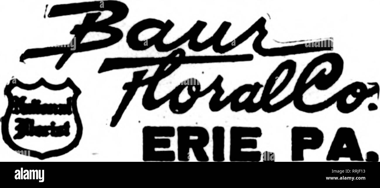 . Les fleuristes [microforme] examen. La floriculture. L'TKTili^ORAPH NORFOLK FLEURISTE, Fortress Monroe, Virginie messenger service spécial ci-dessus cité. Sl.OO États les fleuristes Livraison de télégraphe Association. UNIONTOWN, PA. "K je STENSON &AMP ; McGRAIL,"^# .oWJ' ' 11 Morsantown frais rue des fleurs coupées et plantes en tout temps GILES, la lecture Horist, PENNA, membre F. D. T. J. C. LAYER Erie, PA. OrWireT^écrire, téléphoner, iSSShW^. ,PA. Téléphone Bell UO-J PITTSTON, PA. MARTHA HUNTLEY HOUSER Membre de F. D. T. 8 Williams Street HUNTINGDON, PA. J. LESLIE LAIRD ^« tr !S^K WARREN, PA. Croissant-rouge noral Gar Banque D'Images