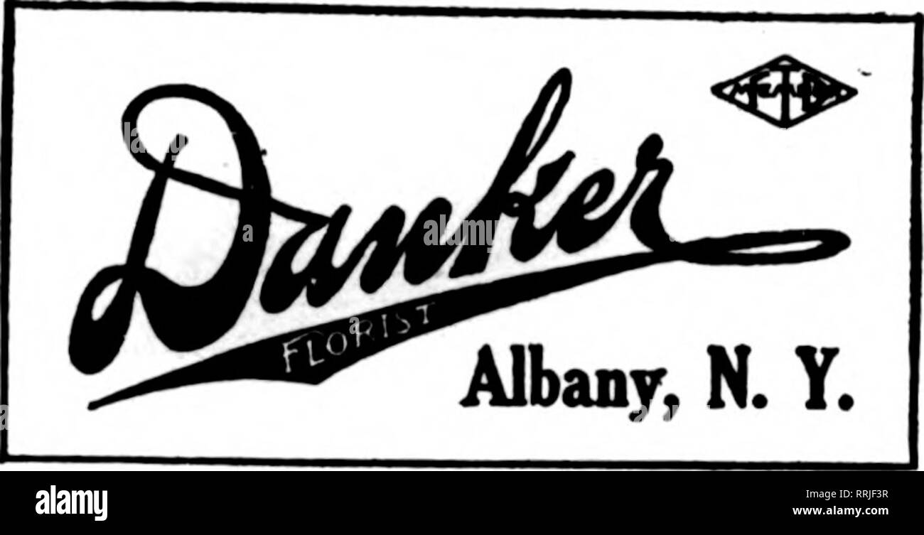 . Les fleuristes [microforme] examen. La floriculture. ^ BUFFALO Flower Shop Colonial 219 Delaware Avenue. Membre d'tkeF.i.D. JE S. A. ANDERSON 440MainSt.,BUFFALO,NY Anderson, frais de service et stock robuste des livraisons rapides à Buffalo, Lockport, Niagara Falls et à l'ouest de New York. Membre de la Telegraph. Livraison fleuristes* BUFFALO L. H. NEUBECK HAUT ET PRINCIPAL STS. Les États les fleuristes Fleuriste Livraison Telegraph Scott LE MEMBRE DE LA F. T. D. BUFFALO, YOKI F. D. T. Serres 379 R principale"£ftlr M V L'Attique, N. Y. Street, DUnaiO, je&gt ;. I. W. &AMP ; T. CASS Genève, N.Y. Telegraph rapidement les commandes F Banque D'Images