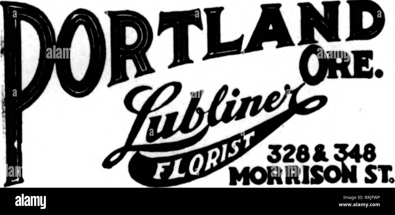 . Les fleuristes [microforme] examen. La floriculture. SFATTI^ F Hollywood Gardens Mm JTm K M LJI M^^ SEATTLE'S LEADING Membre fleuriste les fleuristes Livraison de télégraphe Ass'n, SEATTLE'S LEADING FLORIST 1622 Second Avenue San Francisco Oakland. BERKELEY et environs CHAS. C. NAVLET CO. 423 et 427 Rue du Marché. SAN FRANCISCO, GAL. 20 et 22 également à l'Est de la rue San Fernando, SAN JOSE. CAL. San Francisco-McLaren MacRORiE company . 141 Powell Street et Palace Hotel pépinières, San Mateo, Californie. Nous sommes le seul détail et Tvholesale les fleuristes à San Fran- cisco, et qui peut vous donner meilleure attention à toutes les commandes sur le cac Banque D'Images