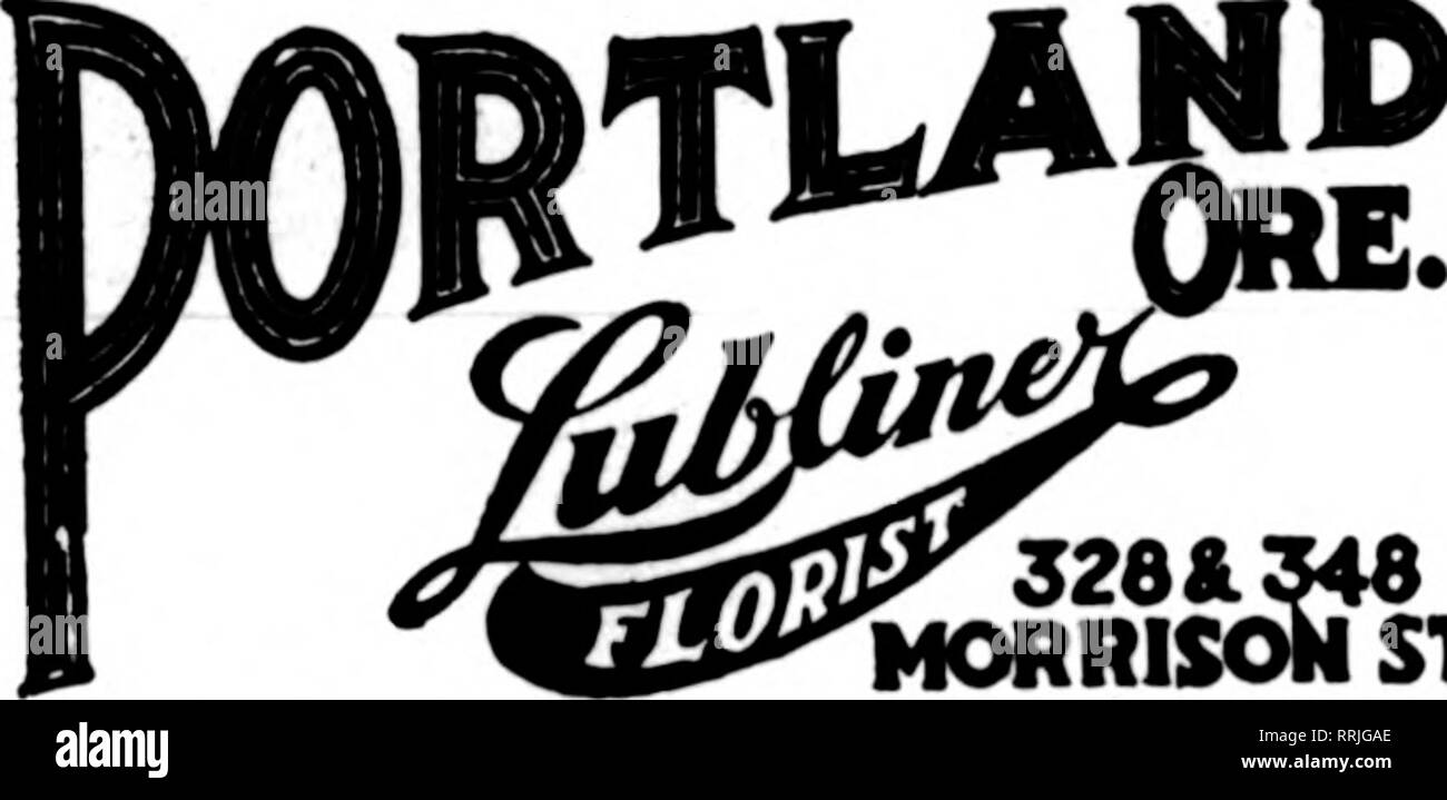 . Les fleuristes [microforme] examen. La floriculture. 'QF ATTI F Hollywood Gardens k^^ » UN UN Jl Jl JL^ FLOEIST AVANT SEATTLE, MDM pour fleuristes livraison Télégraphe Membre Ass'n. SEATTLE'S LEADING FLORIST 1622 Second Avenue San Francisco, Oakland et Berkeley aux environs CHAS. C. NAVLET CO. 423 et 427 Market Street, SAN FRANCISCO, CAL. 20 et 22 également à l'Est de la rue San Fernando, SAN JOSE. CAL. San Francisco-McLaren MacRORiE company 141 Powell Street et Palace Hotel Narseriea, San Mateo. Oallfornla. Nous sommes la seule vente en gros et au détail à San fleuristes FVan eisoo-, et pouvez grive meilleure attention à toutes les commandes sur Banque D'Images