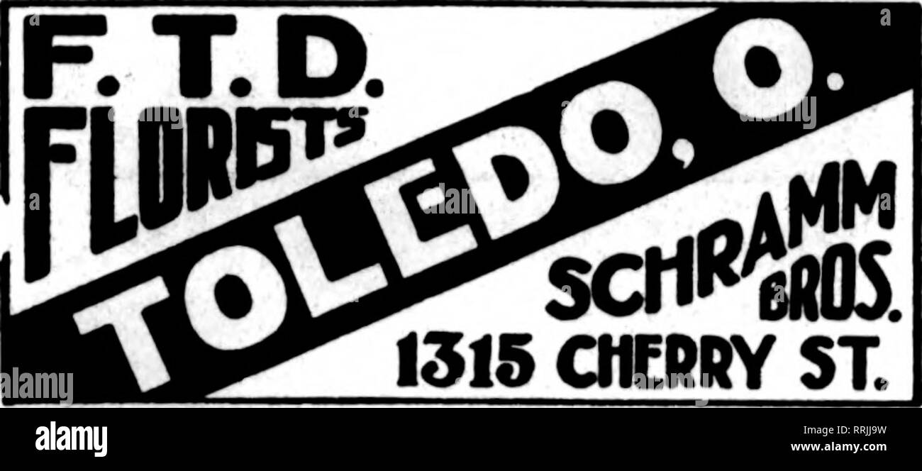 . Les fleuristes [microforme] examen. La floriculture. 146 S. Wabash Ave. chicago Envoyer vos ordres télégraphiques à nous pour une livraison à Chicago et aux environs. Le Zetutz N. Eggert Fleuriste Leader 209 West Market Street, Lima, Ohio Fleuriste National Reprcacntativa Fleuriste rotatif de membre Telecraph Dsllvary pour fleuristes CINCINNATI HENRY W. SHEPPARD 682-534 rue course successeur de l'HILL CO. FLORAL Bon Stock et bon service CINCINNATI Julius Baer, Fleurs Mail et Teleerraph les commandes exécutées avec soin 13R-14n quatrième St., East DAYTON, Ohio 16 aad 18 W. Std St. Matthews le fleuriste BaUblished en 1888. OreenluMue Banque D'Images