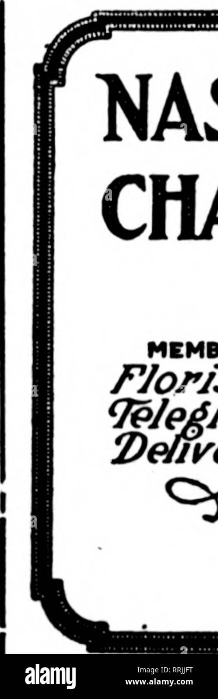 Les Fleuristes Microforme Examen La Floriculture Louisyille Ky Aueust R Baumer Masonic Temple Fleuristes Membre Telecraph