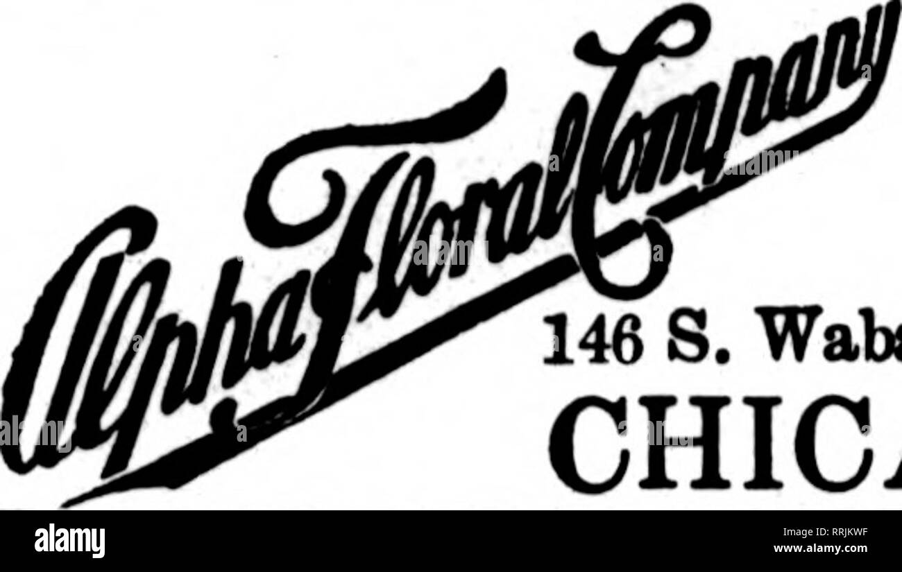 . Les fleuristes [microforme] examen. La floriculture. Les États les fleuristes Livraison de télégraphe Association. 146 S. Wabash Ave. chicago Envoyer vos ordres télégraphiques à nous pour une livraison à Chicago et aux environs. N. Zetlitz Eggert, le fleuriste 209 West Market Street, Lima, Ohio Fleuriste Fleuriste rotatif national représentant les États d'Telerraph Dellvsrr pour fleuristes CINCINNATI HENRY W. SHEPPARD 532-534 rue course successeur de l'HILL CO. FLORAL Bon Stock et bon service CINCINNATI Julius Baer, Flores et ordres télégraphiques exécutée avec soin, 138-140 quatrième fleuve East DAYTON, Ohio 16 aad 18 W. 3td Ma rue Banque D'Images