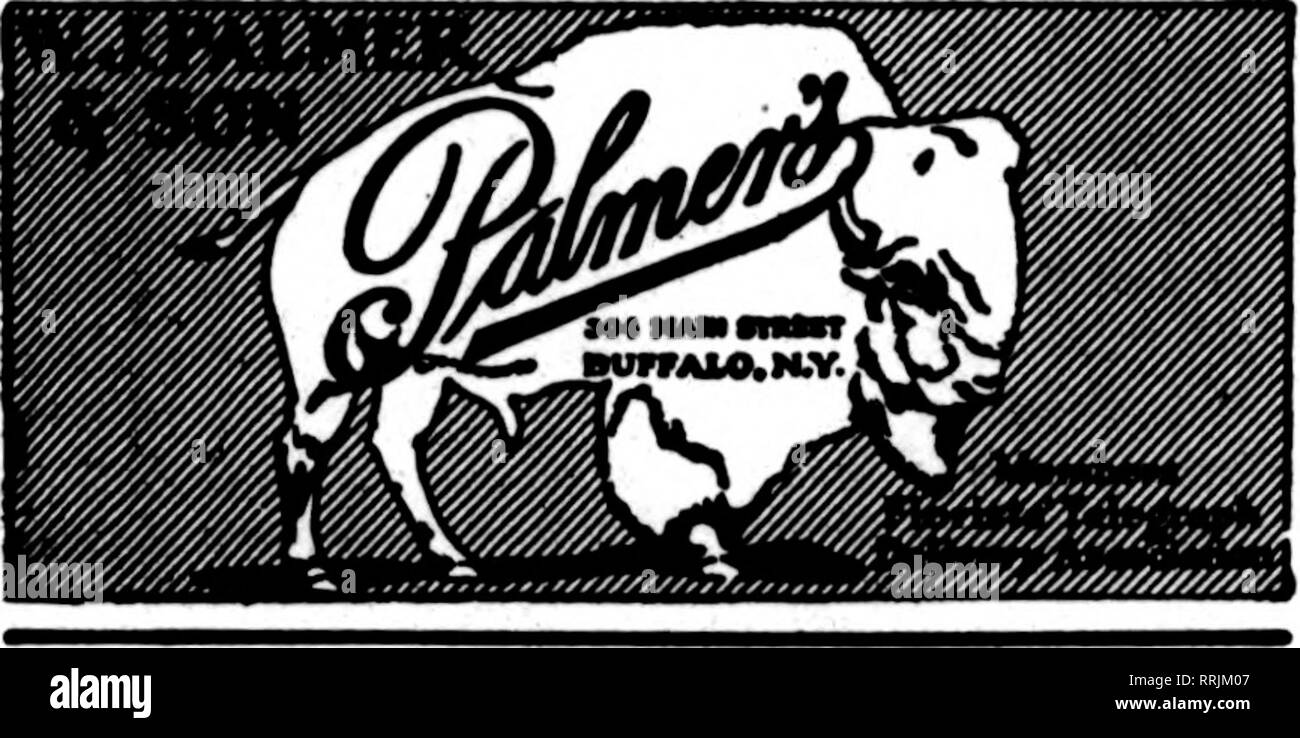 . Les fleuristes [microforme] examen. La floriculture. Boutique de fleurs coloniale BUFFALO 219 Delaware Avenue. Membre de la F. T. D.. S* A. Anderson 440 SL principal, Buffalo, N Y. Anderson, frais de service et stock robuste des livraisons rapides à Buffalo, Lockport, Niasara Falls et l'ouest de New York. Membre de la Telegraph pour fleuristes livraison. BUFFALO N. Y. L. H. NEUBECK Main Hitfh et Sts. Les fleuristes membre Telesraph W. Livraison &AMP ; T. CASS Genève, N.Y. ordres télégraphiques remplie sans délai dans l'ouest de New York Téléphone Lenox 8822 New York. HENRY HART, fleuriste Inc. Madison lOOO Avenae au coeur de plus exclusif Banque D'Images