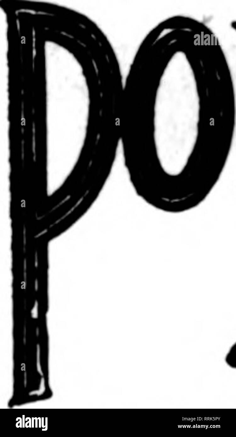 . Les fleuristes [microforme] examen. La floriculture. NOTBiasB 20, 1010. Les fleuristes^ Review 85 San Francisco et Environs -Rorie-McMac Laren G)mpany 141 Powell Street les fleuristes, nous cultivons notre propre stock et avec une vaste série de nur- de tirer de peut donner des valeurs inhabituelles. En gros Détail San Francisco, Oakland et Berkeley aux environs CHAS. C. NAVLET CO. 423 et 427 Rue du Marché. SAN FRANCISCO, CAL. 20 et 22 également à l'Est de la rue San Fernando. SAN JOSE. CAL. SAN FRANCISCO Podesta Baldocchi &AMP ; 224-226 Grant Ayenue invite et une attention particulière à l'ordre de l'extérieur de la ville florista. Membre du SAN FRANCISCO JOSEPH Banque D'Images