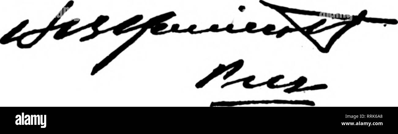 . Les fleuristes [microforme] examen. La floriculture. Violeto Calendulas oeillets blancs Papier Stevia Sweet Mignonette Buis Pois Sprengeri Galax Fougères Adiantum Plumosus Smilax jamais nos prix sont plus élevés que d'autres demandent un tout aussi bon niveau de stock, Frne Société ^ J 30 E. Randolph St. TS^^S:t&amp ;^iiiiiiiiiiiiiiiiiiiiiiiiiiiiiiiiiiiiiiiiin lSr CHICAGO | ?'i"ii'ii""ii"iiiiii"iiiiiii"IIIII"iiiiiiiiiiiiiiiiiiiiiiiiiiiiii iiiiiiiiiiiiiiiiiiiiiiiiniii«^^^ Association, déposé devant l') clul les plans de ce comité, qui ont tous été approuvés. Tous les arrangements Banque D'Images