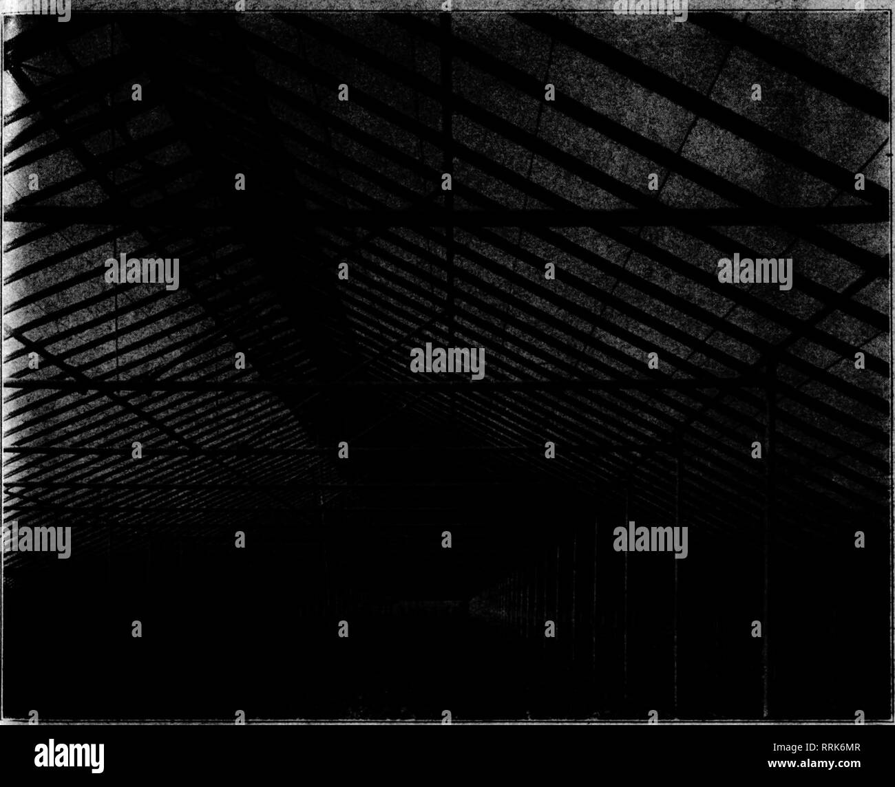 Les Fleuristes Microforme Examen La Floriculture Jamvim J B Ld Fkafists Tjh L M Eview 3 Pii4 Ia Gt B H Amriiimimi9mm Mii Am V Fn 1 Ibi Q J Q T D I A G M C 0 Ft