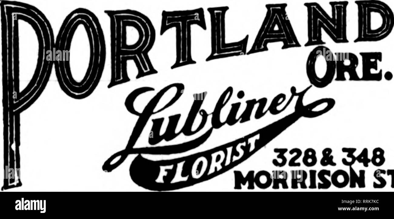 . Les fleuristes [microforme] examen. La floriculture. SFATTI^ M Jardins Hollywood F AJL K un JL^^ K SEATTLE'S LEADING Membre fleuriste les fleuristes Livraison de télégraphe Ass'n. 1622 Second Avenue San Francisco, Oakland et Berkeley aux environs CHAS. C. NAVLET CO. 423 et 427 Market Street, SAN FRANCISCO, CAL. 20 et 22 également à l'Est de la rue San Fernando, SAN JOSE, CAL. San Francisco-McLaren MacRORiE company 141 Powell Street et Palace Hotel pépinières, San Mateo, Californie. Nous sommes la seule vente en gros et au détail à San Fran- fleuristes, cisco et pouvez prive het^t l'attention sur toutes les commandes sur le compte de la supplie illimité Banque D'Images