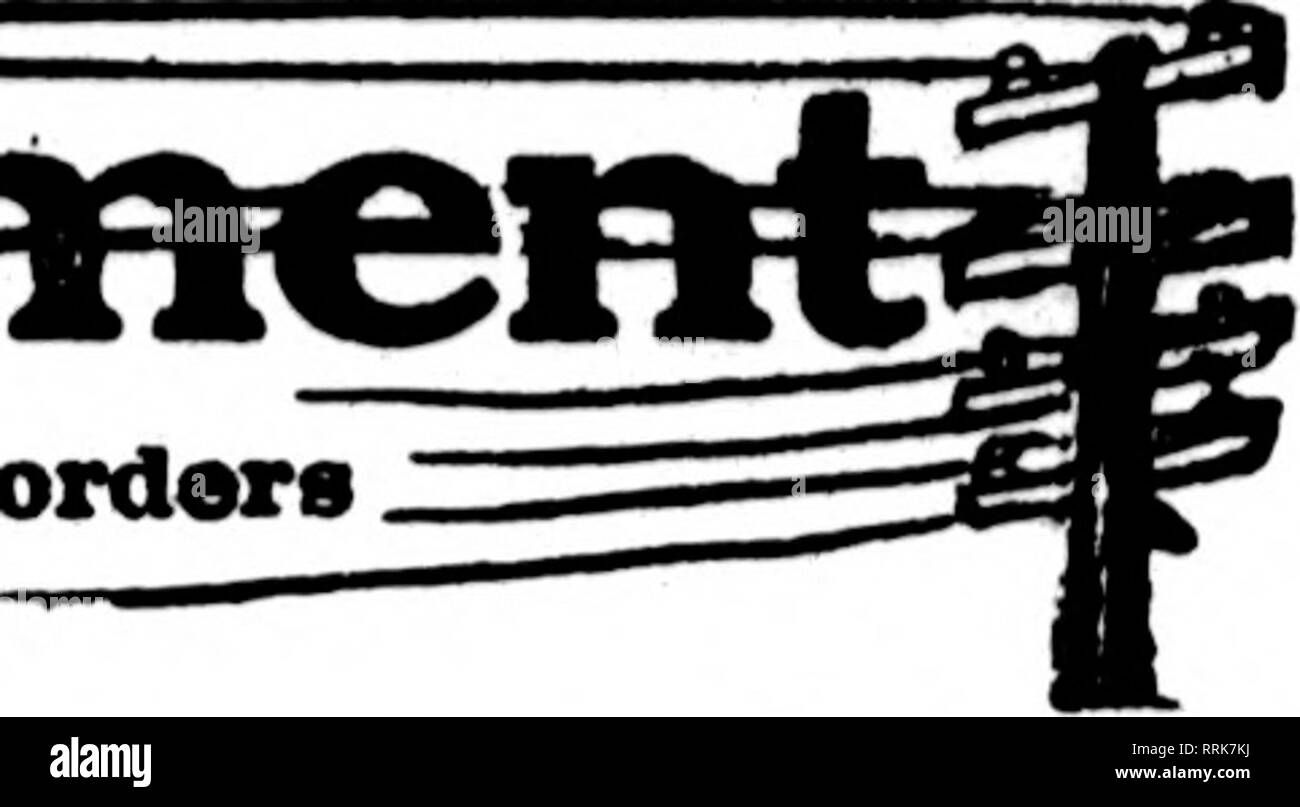 . Les fleuristes [microforme] examen. La floriculture. leffla^&gt;fa = UeliveryHBeparfaflae les fleuristes wIiO80 apparaissent sur les cartes que pages^ ; cette tête, sont prêts à remplir les commandes des autres fleuristes pour la livraison locale sur la base d'habitude.. SFATTI^ M Jardins Hollywood F AJL K un JL^^ K SEATTLE'S LEADING Membre fleuriste les fleuristes Livraison de télégraphe Ass'n. 1622 Second Avenue San Francisco, Oakland et Berkeley aux environs CHAS. C. NAVLET CO. 423 et 427 Market Street, SAN FRANCISCO, CAL. 20 et 22 également à l'Est de la rue San Fernando, SAN JOSE, CAL. San Francisco-McLaren MacRORiE company 141 Powell Street et Banque D'Images