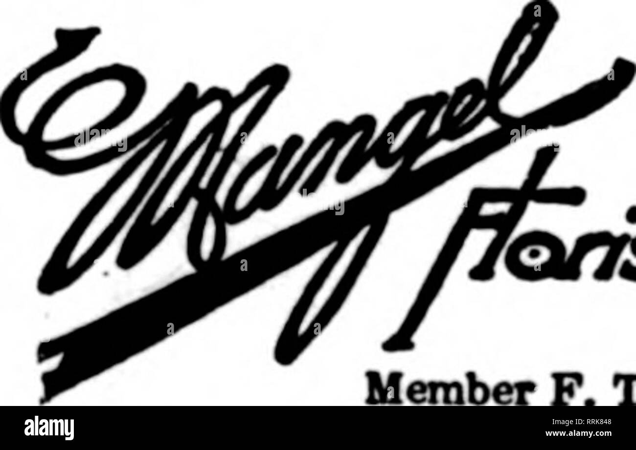 . Les fleuristes [microforme] examen. La floriculture. 146 S.Wabash Ave. chicago Envoyer vos ordres télégraphiques à nous pour une livraison à Chicago et environs SCHILLER'S DEUX CHICAGO ST0RE8 eover chaque partie de ville et banlieue OBOROE ASMUS. Mgr. 4509 Broadway : : 2221 Membre Zlorists St. Madison W.* Telegraph Afls livraison'o. CHICAGO Paul Blome &AMP ; Co. 1361 N.Clark St. États F. D. T. L'intention d'une connexion permanente. M. Nixon a quitté cette entreprise au début de novembre 1918, de s'inscrire dans sa ville natale pour service de guerre. Les McCallum Co. a donné un banquet et danse pour ses employés lundi même- ing, le 29 décembre, à Banque D'Images
