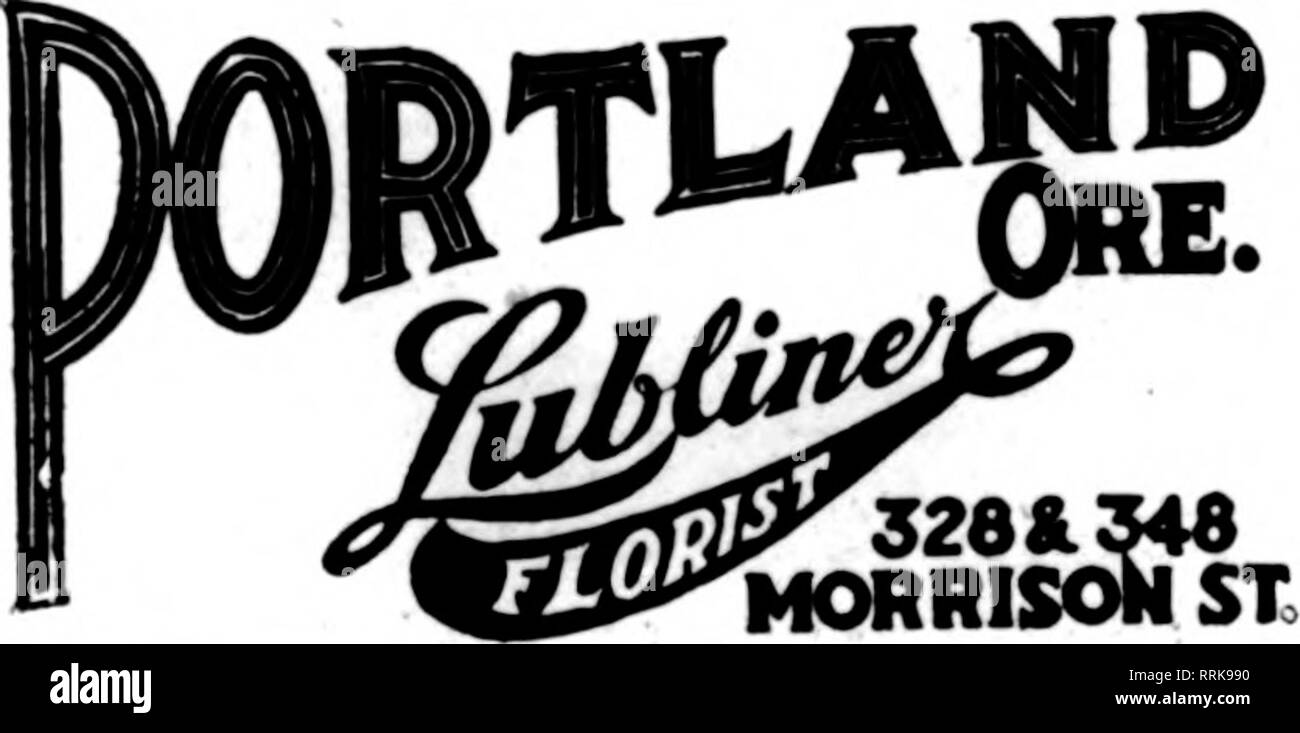 . Les fleuristes [microforme] examen. La floriculture. Jusqu'florlats* whoa* sur le avpMtf* pas oerrylnK cette perle, sont •-- florlato otber Irom pour daUvary locaux sur fhm d'habitude. Membre de Seattle les fleuristes Livraison de télégraphe Ass'n. Jardins d'hollywood SEATTLE'S LEADING FLORIST 1622 Second Avenue San Francisco, Oakland et Berkeley aux environs CHAS. C. NAVLET CO. 423 et 427 Market Street, SAN FRANCISCO, CAL. 20 et 22 également à l'Est de la rue San Fernando, SAN JOSE, CAL. San Francisco-McLaren MacRORiE company 141 Powell Street et Palace Hotel pépinières, San Mateo, Oallfornia. Nous sommes le seul et gros re Banque D'Images