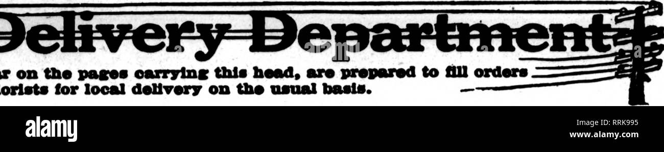 . Les fleuristes [microforme] examen. La floriculture. Jusqu'florlats* whoa* sur le avpMtf* pas oerrylnK cette perle, sont •-- florlato otber Irom pour daUvary locaux sur fhm d'habitude. Membre de Seattle les fleuristes Livraison de télégraphe Ass'n. Jardins d'hollywood SEATTLE'S LEADING FLORIST 1622 Second Avenue San Francisco, Oakland et Berkeley aux environs CHAS. C. NAVLET CO. 423 et 427 Market Street, SAN FRANCISCO, CAL. 20 et 22 également à l'Est de la rue San Fernando, SAN JOSE, CAL. San Francisco-McLaren MacRORiE company 141 Powell Street et Palace Hotel pépinières, San Mateo, Oallfornia. Nous sommes le seul et gros re Banque D'Images
