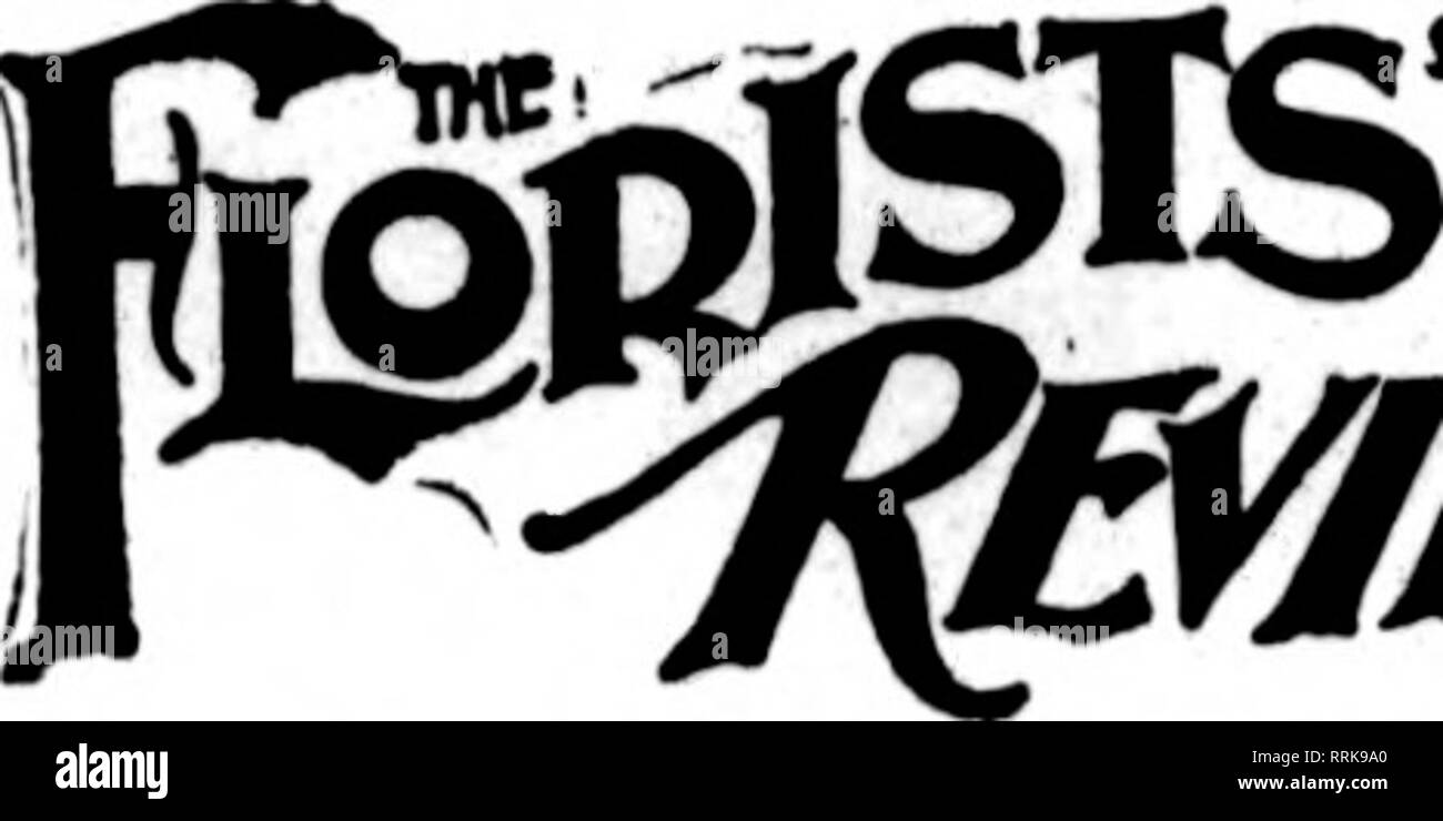 . Les fleuristes [microforme] examen. La floriculture. A. L'avance Co 96 Bosery • 64 Lozier Alfred Allen, J. K Alpha 67 Flo. Co 66 Ampoule américain Co.. 70 American Flower Shop 64. Des forêts pour l'Amérique. 76 American Gr'nhouse Mfg. Co dans Amllng Amllng » Co 23 Co., A. F... 81 Andersen Spécialité. 86 Anderson, S. A.... 52 Angermueller Aphlne, G. H. 29 Co 86 Archlas Mfg Co. Floral.. 56 Armacost &AMP ; Co 44 Arnold, A. UN Art 35 Co 63 Artlndale Floral &AMP ; fils... 61 Aschmann, G 79 Aschmann Bros. .. 81 Ashbome Goldfish... 35 Atchison Seed &AMP ; Magasin de fleurs .... Athletic Club 64 63 Fleuriste pépinière d'Audubon... 81 Banque D'Images