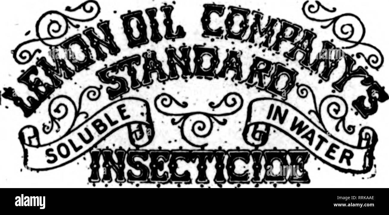 . Les fleuristes [microforme] examen. La floriculture. Enregistrer et planta des arbres. ronr Chose^ juste pour les émissions et l'utilisation à l'extérieur. Mealy Bnir détruit, Brown et WbiteScale, thrips, araignée rouge, noir et vert voler. Les acariens. Les fourmis, etc., sans dommage aux plantes et sans odeur. Utilisé selon les directives, notre Insecticide standard empêchera les ravages sur vos cultures par les insectes. Non toxique et sans danger pour l'utilisateur et de l'usine. Iieadlng les semenciers et les fleuristes ont utilisé avec des résultats merveilleux. Détruit les poux dans les poulaillers, les puces sur les chiens et tous les animaux domestiques. Excellent comme un lavage pour chiens et autres animaux Banque D'Images