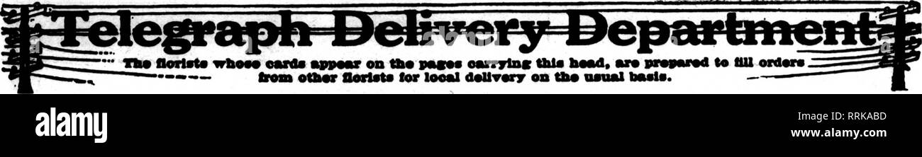 . Les fleuristes [microforme] examen. La floriculture. L'temrku Ski 4, 1919. Les fleuristes^ 85 d'examen. SF ATTI F Jardins d'Hollywood pour fleuristes livraison Télégraphe Membre Ass'n. L'LEADINGIFLORIST SEATTLE 1622 Second Avenue San Francisco, Oakland et Berkeley aux environs CHAS. C. NAVLET CO. 423 et 427 Market Street, SAN FRANCISCO, CAL, également 20 et 22 à l'Est de la rue San Fernando, SAN JOSE, CAL. San Francisco-McLaren MacRORiE company 141 Powell Street et Palace Hotel, NurseriM Oallfomla, San Mateo. Nous sommes le seul fleuriste vente en gros et au détail* à San Fran- cisco, et qui peut vous donner meilleure attention à toutes les commandes sur compte Banque D'Images