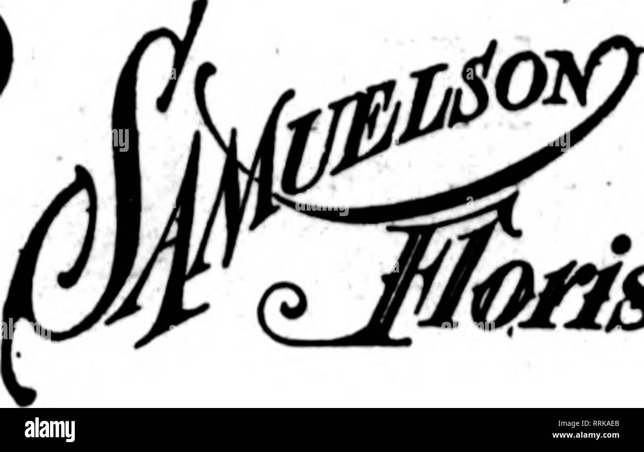 . Les fleuristes [microforme] examen. La floriculture. BEYER FLOWER SHOP SOUTH BEND, Indiana) doliverics quotidienne à l'Université Notre Dame et Saint Mary's Academy a également des liens étroits avec NILES, Berrien Springs. ST. JOSEPH, MICH.- NEW CARLISLE, MICHIGAN CITY. LA PORTE, Elkhart, Goshen, Varsovie, INU. ERIC BUCHHOLZ MUNCIE INDIANA États les fleuristes livraison Telegraph 30 000 pieds carrés d'^reenhousea moderne 18 hectares de culture en plein air SUR LA SATISFACTION DE TOUTES LES COMMANDES DE L'ASSURANCE Établi en 1859. L mmkws ce fils. Les fleuristes et décorateurs 1610 à 1620 N. Illinois St, Indianapolis Indiana Ind, la plus ancienne Inrerost et mo Banque D'Images