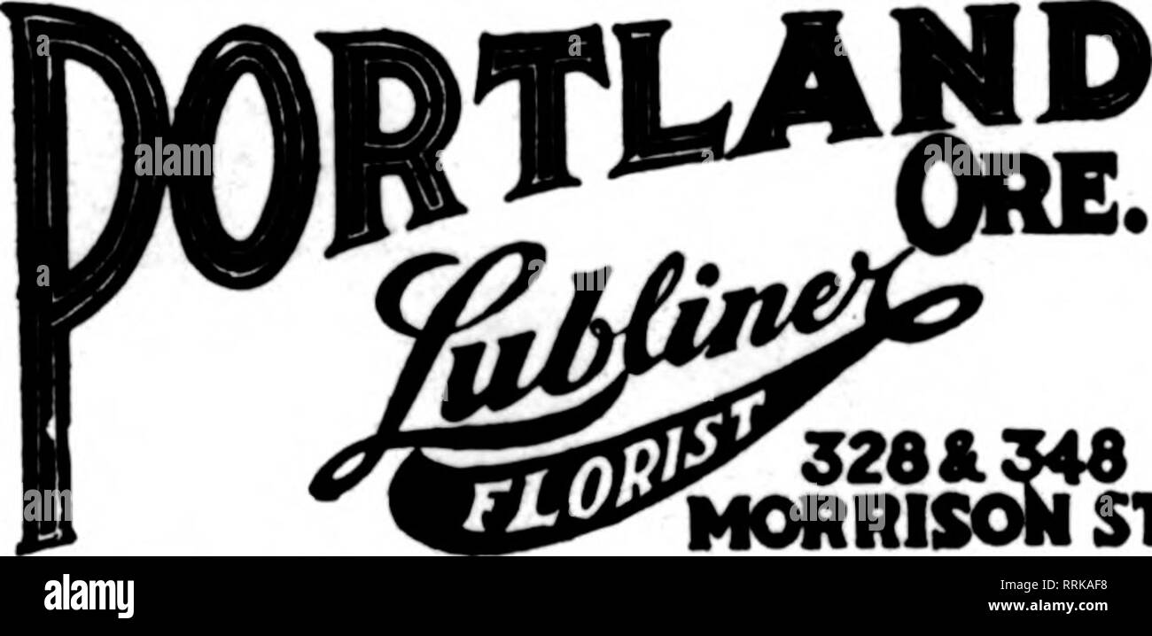 . Les fleuristes [microforme] examen. La floriculture. SFATTI Hollywood *Jardins F i^^ XjL a a JL 000^ SEATTLE'S LEADING Membre fleuriste les fleuristes Livraison de télégraphe Ass'n. SEATTLE'S LEADING FLORIST 1622 Second Avenue San Francisco, Oakland et Berkeley aux environs CHAS. C. NAVLET CO. 423 et 427 Market Street, SAN FRANCISCO. CAL. 20 et 22 également à l'Est de la rue San Fernando, SAN JOSE. CAL. San Francisco-McLaren MacRORiE company 141 Powell Street et Palace Hotel, Kureyries Oalifornia, San Mateo. Nous sommes la seule vente en gros et au détail floriets à San Fran- cisco, et pouvez grive meilleure attention à tous les ordera sur accoan Banque D'Images
