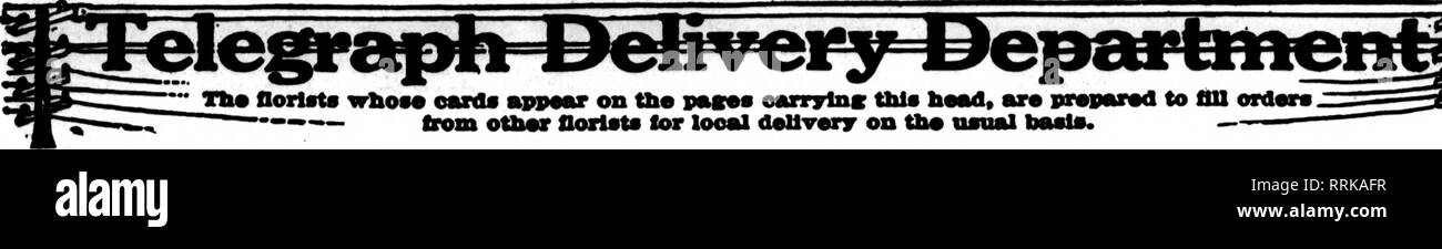 . Les fleuristes [microforme] examen. La floriculture. OCTOBIB 16, 1919. Les fleuristes^ 85 d'examen. E* fflorlsto avPMtf wlko"carda 0 sur le rythme* eanrylnc* fhl bead, sont prêts à remplir les commandes --- d'florieta deUvery looal ofher lor sur l'habitude. liasle. Veuillez noter que ces images sont extraites de la page numérisée des images qui peuvent avoir été retouchées numériquement pour plus de lisibilité - coloration et l'aspect de ces illustrations ne peut pas parfaitement ressembler à l'œuvre originale.. Chicago : les fleuristes Pub. Co Banque D'Images
