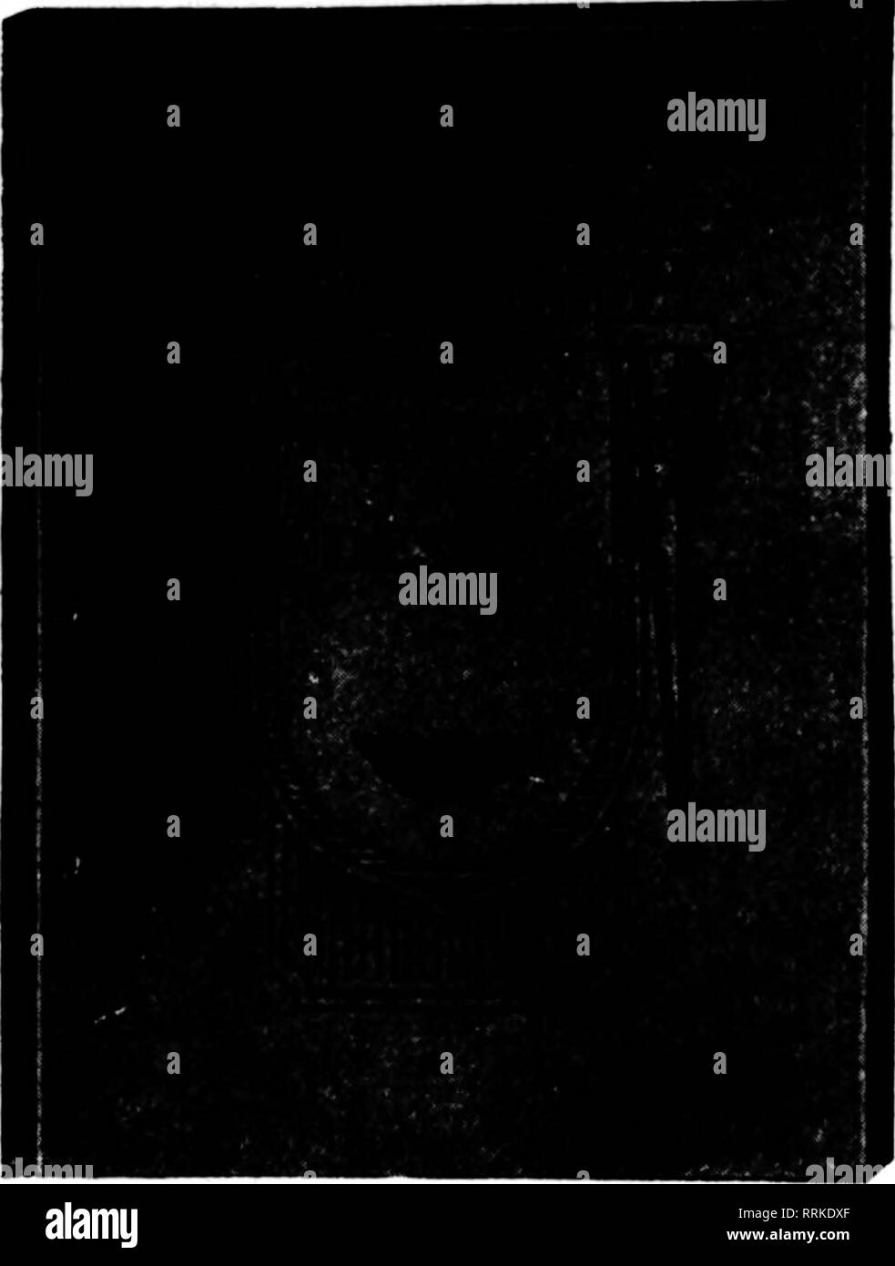 . Les fleuristes [microforme] examen. La floriculture. Januauy 16, 1919. Les fleuristes^ jiiiiiiiiiiiiiiiiiiiiiiiiiiiiiiiiiiiiiiiiiiiiiiiiiiiiiiiiiiiiiiiiiiiiiiiiiiiiiiiiiiiiiiiiiiiiiiiiiiiiiiiiiiiiiiiiiiiiiiiiiiiiiiiiiiin Examen 25 € J'utilise les ŒILLETS | JE EXCELLENTE QUALITÉ - MODÉRÉ DANS LE PRIX | J'appuie sur l'Œillet, il va payer, vous et vos clients reviendront | I pour de plus, parce que c'est bon stock, valait bien le prix-commande certains | Je aujourd'hui et voyez par vous-même. | JE LE Freesia roses Violettes | S stock spécial, 8,00 $ par 100. Long, fantaisie Ophelia, Russell, les boutonnières se vendent bien ; utilisation S S de lui donner un essai. Banque D'Images