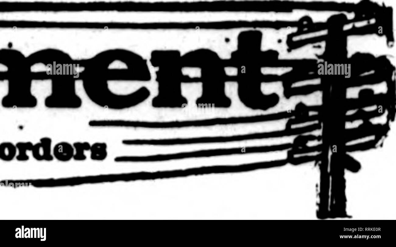 . Les fleuristes [microforme] examen. La floriculture. Fleuriste TiM* whoa* eards app""r sur fhe rythme* eanrlns proparad fhls head, sont à flll ordara" --- d'othar florlata daUvary locaux sur base d'habitude tlia.. San Francisco, Oakland et Berkeley aux environs CHAS. C. NAVLET CO. 423 et 427 Rue du Marché. SAN FRANCISCO, CAL. 20 et 22 également à l'Est de la rue San Fernando, SAN JOSE. CAL. San Francisco, Californie McLAREN-MacRORIE COMPANY 141 Powell Street et Palace Hotel Kureyries, San Mateo, Californie. Nous sommes la seule vente en gros et au détail à San Fran- fleuristes, cisco et peut donner meilleure attention à toutes les commandes sur l'acco Banque D'Images