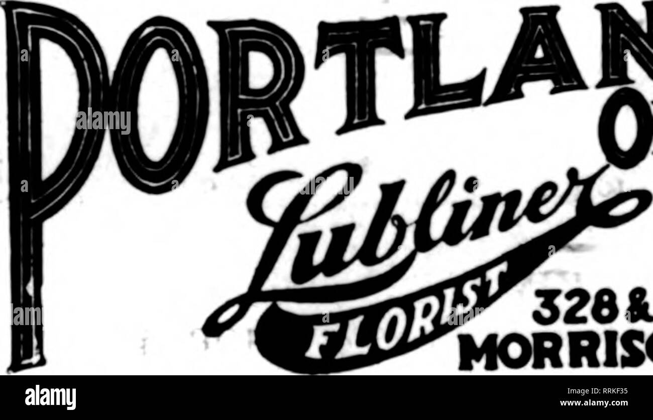 . Les fleuristes [microforme] examen. La floriculture. SFATTI^ J F Jardins Hollywood un ^^ UN K Kt JL^ ; SEATTLE, au fleuriste LEADER États les fleuristes Livraison de télégraphe Ass'n. SEATTLE'S LEADING FLORIST 1622 Second Avenue San Francisco, Oakland et Berkeley aux environs CHAS. C. NAVLET CO. 423 et 427 Market Street, SAN FRANCISCO, CAL. 20 et 22 également à l'Est de la rue San Fernando, SAN JOSE, CAL. San Francisco-McLaren MacRORiE company 141 Powell Street et Palace Hotel pépinières, San Mateo, Californie. Nous sommes la seule vente en gros et au détail à San Fran- fleuristes' Cisco et peut donner meilleure attention à toutes les commandes sur accou Banque D'Images