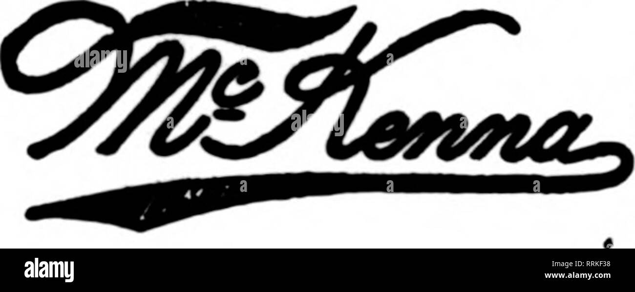 . Les fleuristes [microforme] examen. La floriculture. H. F. A. LANGE Worcester, Mass. offre à AH Poiats en Nouvelle Angleterre 125 000 pieds carrés de membre Qlass Florists' Tele" ?Livraison raDh Ass'n. E CARBONE, S42 BoylstonSt.. BOSTON Membre Tdegraph DeHvery pour fleuristes Ass'n Worcester, Mass.) RandalFs sur Flowel* de l'atelier les fleuristes Livraison de télégraphe Winnipeg, Man., Can. Le "ROI" FLEURISTE F.T^l^^^s'i n. 270, rue Hargrave, Canada's Florist 8-10 W. Adelaide St., Toronto Les fleuristes Membre Telejrraph Ami livraison'n. Plus grands détaillants au Canada Coin ?^0 ^^^ li Catherine SL.^^ m JTM .^ ^ ? ?"&gt ; la rue Guy Banque D'Images