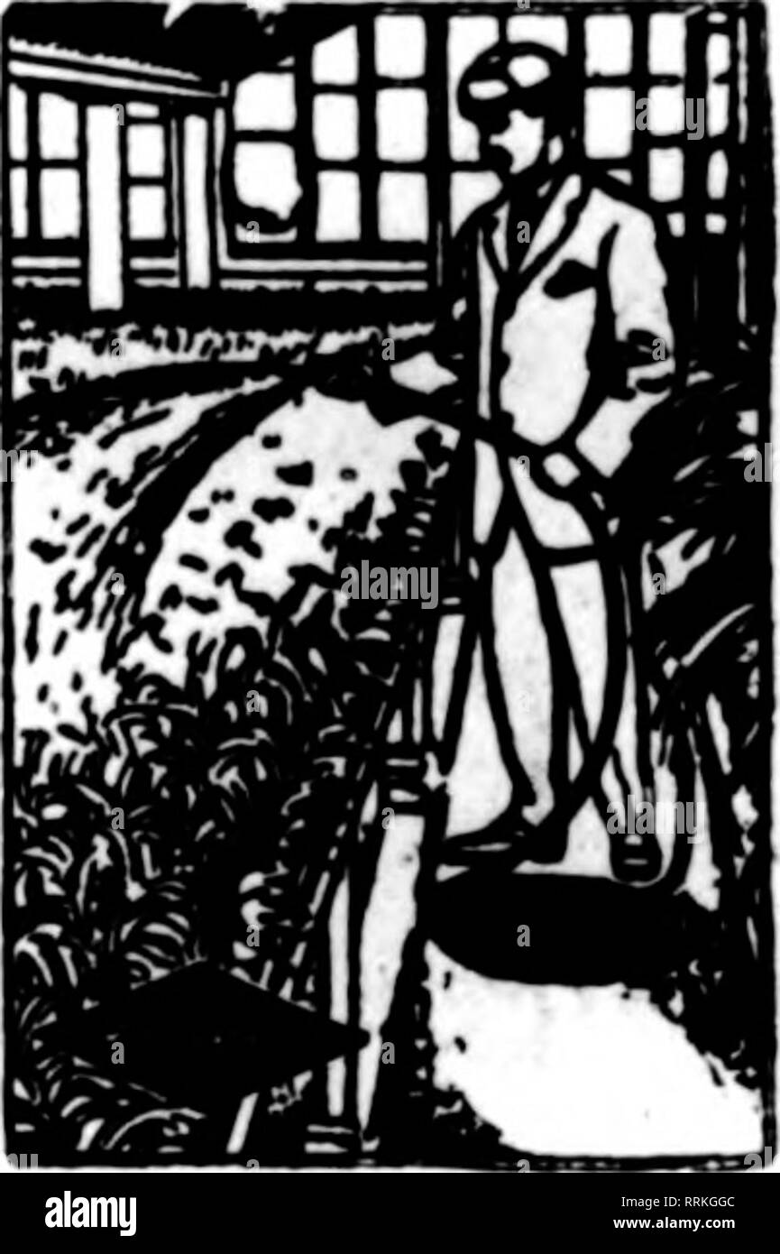 . Les fleuristes [microforme] examen. La floriculture. Enregistrer vos plantes et arbres. Juste la chose pour greenhouee et l'utilisation à l'extérieur. Détruit de cochenille, Brown et WhlteScale, les THRIPS, les Araignées rouges, noirs et Oreen voler. Les Mites, fourmis, etc., sans dommage aux plantes et sans odeur. Utilisé selon les directives, notre Insecticide standard empêchera les ravages sur vos cultures par les insectes. Les non-polsonousandharmlesstouser et plante. Les semenciers de premier plan et des fleuristes ont utilisé avec des résultats merveilleux. Détruit les poux dans les poulaillers, les puces sur les chiens et tous les animaux domestiques. Kxcellent comme un lavage pour chiens et autres animaux. Reli Banque D'Images