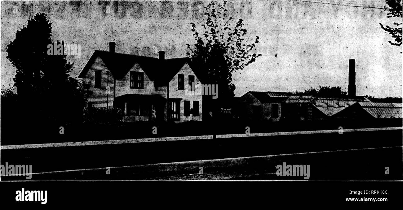 . Les fleuristes [microforme] examen. La floriculture. Le 12 juin 1910. Les fleuristes^ lURioiumitiiiHnmfflnimiimmiiitnniiimnnnnitini mntitnmtinminnniimnnnnnminnnnniiiniiiniiniiiiininniininiiiiattiiiiiinniniinmininnntim Examen 43. Pour la vente d'un bien établi fleuriste entreprise en règle ; environ 15 000 pieds de verre situé dans l'une des plus belles petites villes des États-Unis, quarante kilomètres de Saint Paul et Minneapolis. La propriété se compose d'office, serres, bon chaufferie, atelier, hangar, charbon avec fourniture de combustible pour l'hiver prochain ; prix de l'ampoule, 7 chambres, logement sur trois acres de la ve Banque D'Images