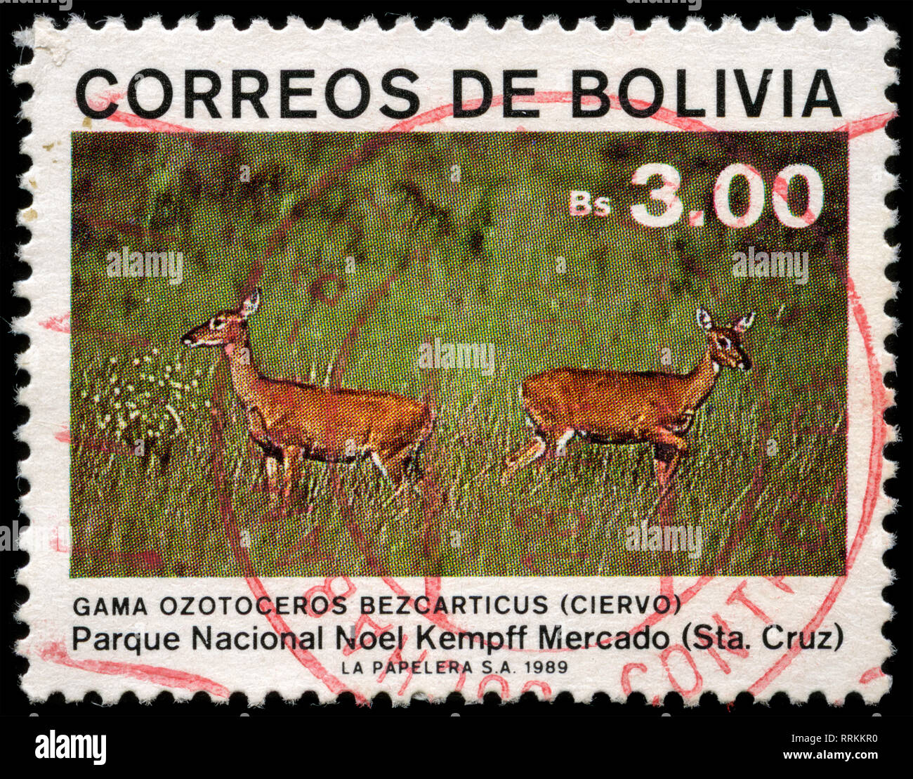 Timbre-poste de la Bolivie dans le Parc national Noel Kempff Mercado" "série émise en 1989 Banque D'Images