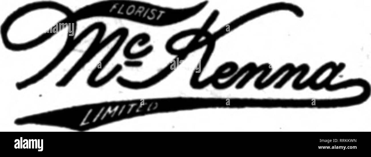 . Les fleuristes [microforme] examen. La floriculture. Nous nous efforçons d'VEUILLEZ VSyQAQ VILLE. 11106 WittMJT XOfidLCa MISSOURI-R10MESBrabl8O6 ATAVIA, N. Y. L. C. STROH &AMP ; fils de fleurs livrées à toutes les villes voisines. ST. LOUIS, MO. Un aORLY QRIUM WIro la séance ordinaire tenue le 18 septembre, la Mission Inn Garden. Le Président Charles Young a présidé la réunion, qui est le meilleur est allé(e) à l'association a eu depuis de nombreux mois, et les questions d'une grande importance ont été discutés. Le comité des membres a fait du bon travail le mois dernier et a presque doublé les membres. L'Association a déposé des articles d'incorpor Banque D'Images