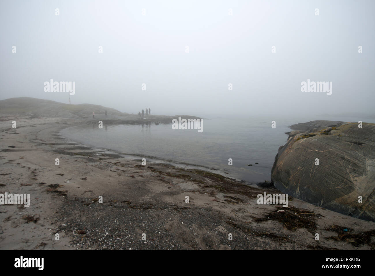 Brouillard, visible, aérosols, eau, gouttes, Suède Banque D'Images