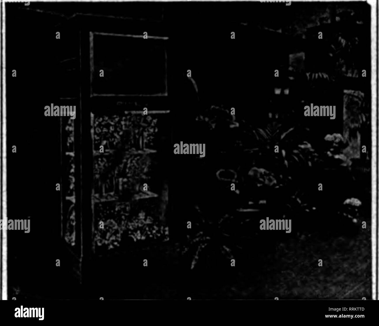 . Les fleuristes [microforme] examen. La floriculture. '' ? ?'* .. :^^-, :.^^ ;' '•'- ?  ?, ,.13.', .ve- riorists » réfrigérateurs de haute qualité de conception nous nous construire nous avons établi notre spécialité est les fleuristes* Bref RÉFRIGÉRATION* pour Cataloiru* BUCHBINDER BROS. 520 Milwaukee Avenue. Chicago, Ill. Mmtlon Ttw B"t1"w lorsque joj wrif. Fleur Gloekler réfrigérateur. sont illustrées dans le plein oolor catalocnie dans leurs nouvelles. Pour envoyer votre copie. C'est gratuit. BERNARD GLOEKLBR Pitttburgh ManttoB CO., Pa. ct&gt ; vous wrlta ttorlew whan. Z. D. Blackistone, est de retour au magasin, à la suite d'un voyage passé à sa pour- mer accueil à Chicago, où, p Banque D'Images