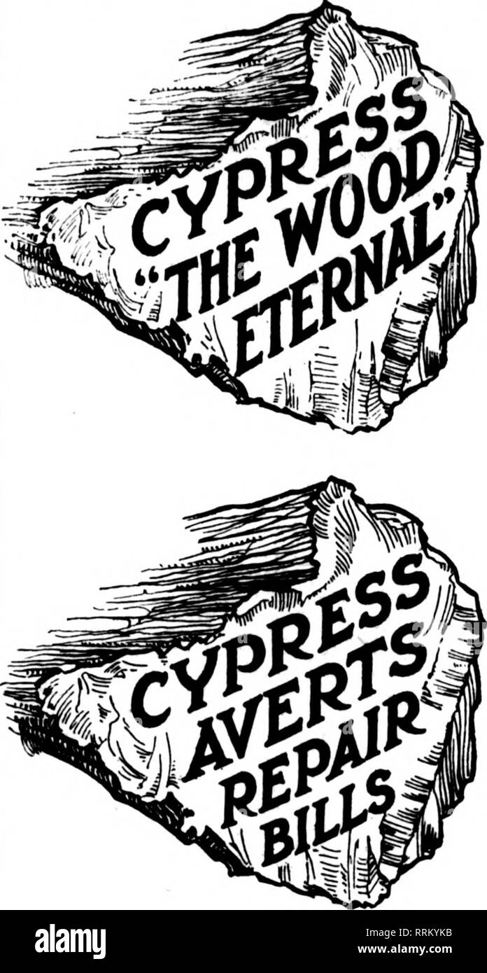 . Les fleuristes [microforme] examen. La floriculture. 116^ Febuuauv les fleuristes d'examen 8, 1917. "Le bois QUE TOUS SES UTILISATEURS PRIX, LES SAGES DANS- VESTOR SAFE- LY ACHÈTE." MAINTENANT POUR UN LIVRE GRATUIT à partir de la célèbre bibliothèque de poche presse- Cy-42 vol., (le livre est à effet de volume 3). Tome 1 a une liste complète des autres volumes et l'unabridged U. S. Gov't. Re- port sur "le bois est éternel." Avez-vous eu ? Le sud de l'MANUFilCTURERS CYPRESS' Association. Veuillez noter que ces images sont extraites de la page numérisée des images qui peuvent avoir été retouchées numériquement pour plus de lisibilité - Banque D'Images