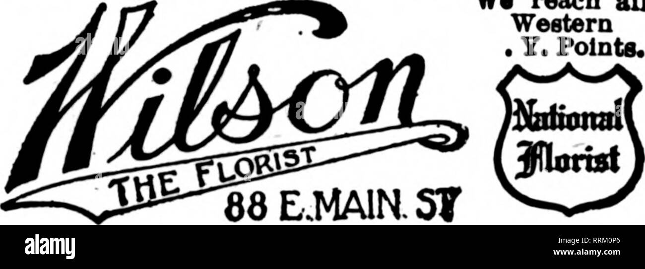 . Les fleuristes [microforme] examen. La floriculture. S. A. Anderson 440 Main St., Buffalo, N. Y. Anderson service signifie frais, sturdy stock, et des livraisons rapides en Lockportt Niasara, Buffalo Falls et l'ouest de New York. Membre de la Telegraph pour fleuristes livraison. ROCHESTER, N.Y. '-^-^ W. atteindre tous les Western . Polnta Y... SCOTT le fleuriste BnFFALO,NEWYORK W. &AMP ; T. CASS, norists GENÈVE, N.Y. ordres télégraphiques remplie sans délai dans l'ouest de New York. fif arrêtés pour Philadelphie et environs sera comblé à la artistiquement FORREST FLOWER SHOP 131 So. Stft large. PMILADILPHIA ALBANY, N. Y. 23 STEUBEN Banque D'Images