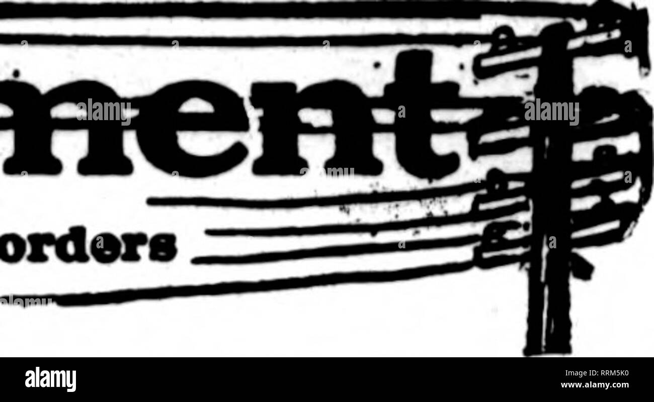 . Les fleuristes [microforme] examen. La floriculture. iefflapti^IJe Feiy epartatic flortsts^ = Le wbose avpear* carte sur l'Et oairylna* rythme ; tbis tête, sont prêts à remplir des ordres -- d'autres fleuristes pour deUvery locaux sur la base d'habitude.. San Francisco, Oakland et Berkeley aux environs CHAS. C. NAVLET CO. 423 et 427 Market Street, SAN FRANCISCO, CAL. 20 et 22 également à l'Est de la rue San Fernando, SAN JOSE. CAL. San Francisco, Californie McLAREN-MacRORIE COMPANY 141 Powell Street et Palace Hotel pépinières, San Mateo, Californie. Nous sommes la seule vente en gros et au détail à San Fran- fleuristes, cisco et peut donner au mieux Banque D'Images