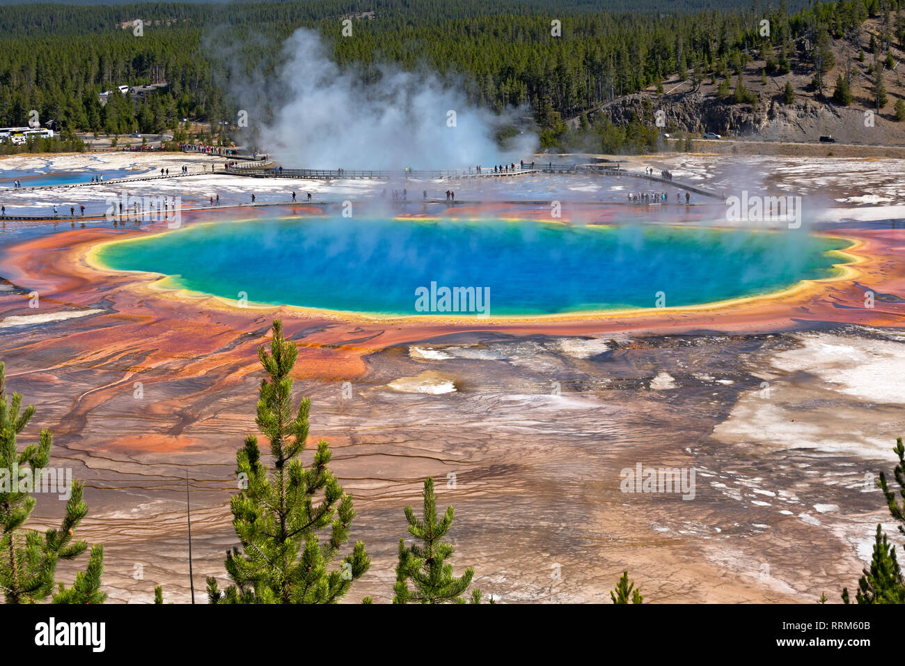 WY03861-00...WYOMING - Le Grand Prismatic Spring colorés Midway Geyser Basin dans le Parc National de Yellowstone. Banque D'Images