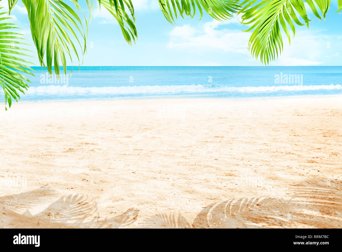 Plage de sable avec des branches de palmier vert et des vagues sur la mer sur fond de ciel bleu Banque D'Images