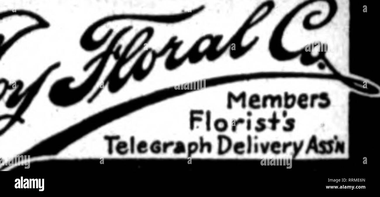 . Les fleuristes [microforme] examen. La floriculture. CUDE BROS.CO. rLORISTS STNW VirMHINSTONOC r 1214 Washington, D. C. GUDE pour fleuristes membres du Teleerraph Dellrery ASHVILLE.XENN.. J'Telearaph Florij +Livre Auiil Geny Bros. ^^^ 212 Fifth Avenue NO NASHVILLE, Tenn.. "Nous n'avons jamais dormir 99 S"utilise Memphis, Tennessee 89 South Main Street""t *Jusqu'à la minute" et de l'exécution de chaque fleur en saison Arcade boutique de fleurs F. W. KUMMER, Prop. 309 KING ST. CHARLESTON, S. C. "" ?"• Charleston, W. Va. pour sont eiven invite et beaucoup d'attention par le CHAILFSTON FIOWEK ET VÉGÉTALES COUPE Ca CHARLES P. DU Banque D'Images